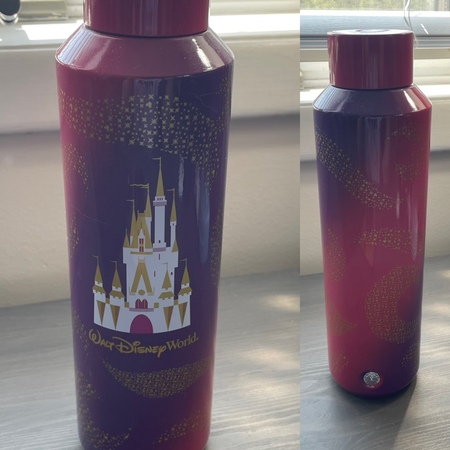 Starbucks City Mug 2023 20 oz. Red Walt Disney World Water Bottle