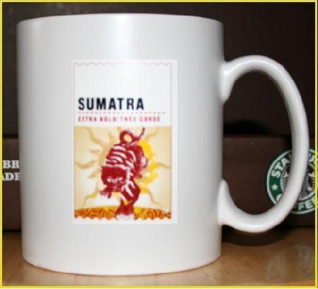Starbucks City Mug 2010 Sumatra Blend