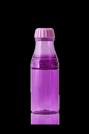 Starbucks City Mug Bottle Colorful Purple 17oz