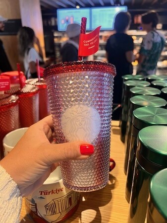 Starbucks City Mug turkey 100.year studded